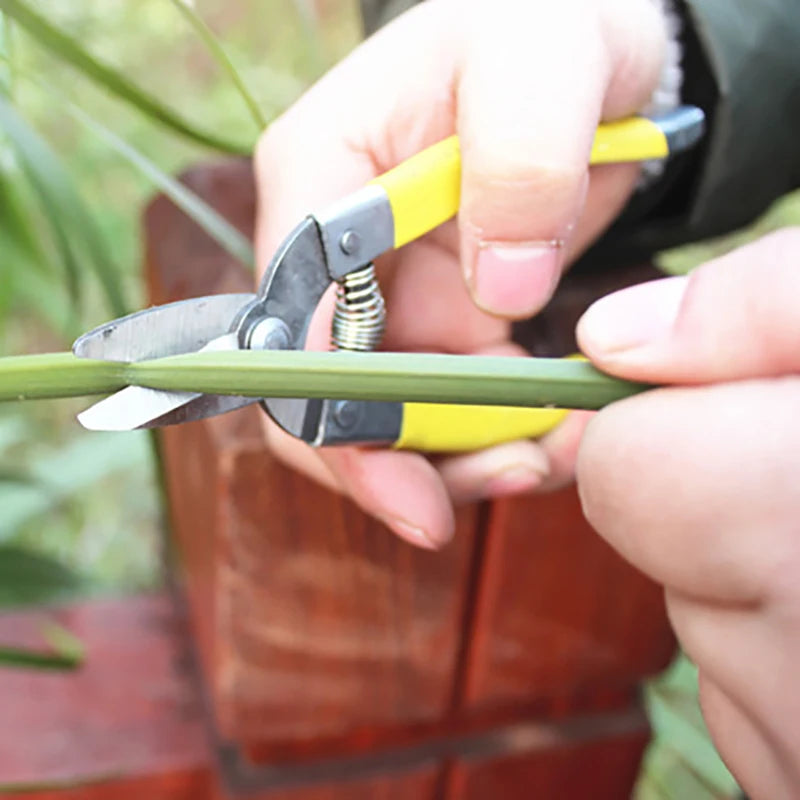 branch pruning shears labor saving branch shear gardening pruning scissor fruit picking bonsai tools gardening shears branch pruning shears labor saving branch shear gardening pruning scissor fruit picking bonsai tools gardening shears