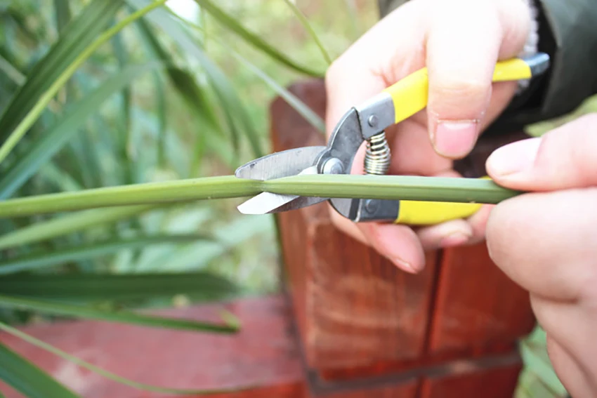 Branch Pruning Shears Labor-Saving Branch Shear Gardening Pruning Scissor Fruit Picking Bonsai Tools Gardening Shears HTB1qntSX.rrK1RkSne1q6ArVVXa6