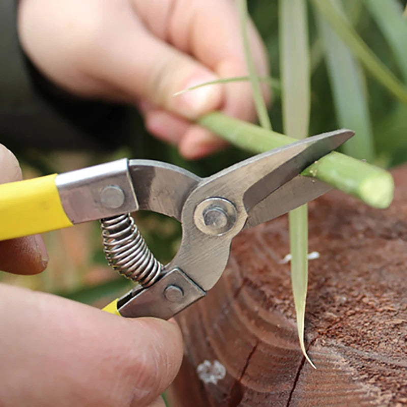 branch pruning shears labor saving branch shear gardening pruning scissor fruit picking bonsai tools gardening shears branch pruning shears labor saving branch shear gardening pruning scissor fruit picking bonsai tools gardening shears